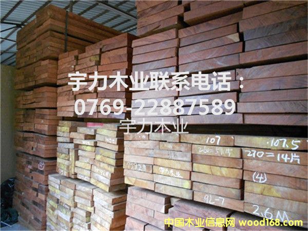 ���������ĵ�Ԕ����B