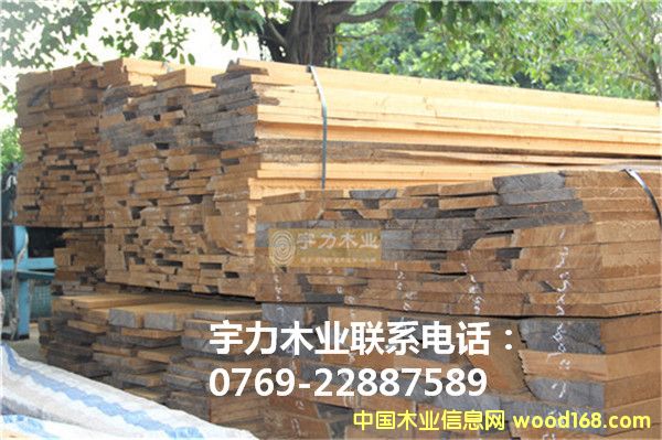 ������ľԭľ��Ԕ����B