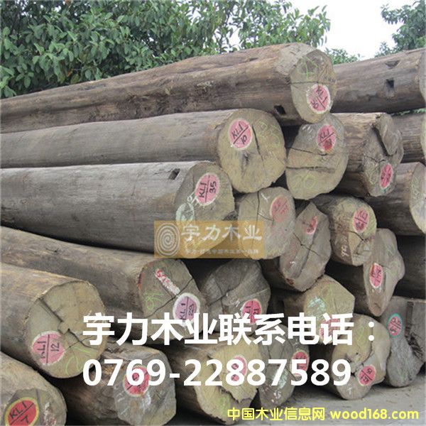 ������ľԭľ��Ԕ����B