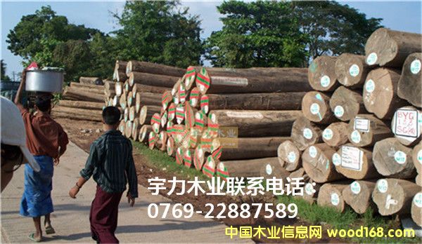 ��ľ���Q�ĵ�Ԕ����B