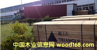 ���V��Ԕ����B