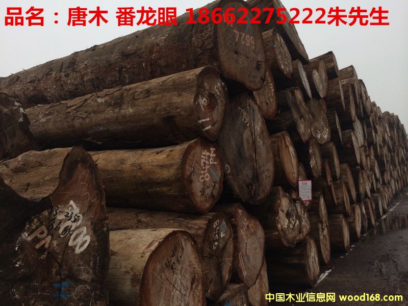 �����ۣ���ľ����Ԕ����B