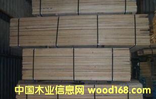 �����ľ��Ԕ����B