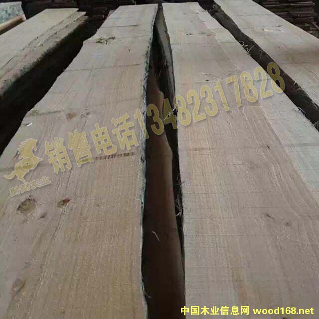 ݗ���ɟo�������Ĺ���Ԕ����B