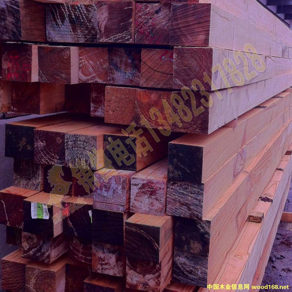 ݗ���ɝ�� ���b�бP�@�����ӵ�Ԕ����B