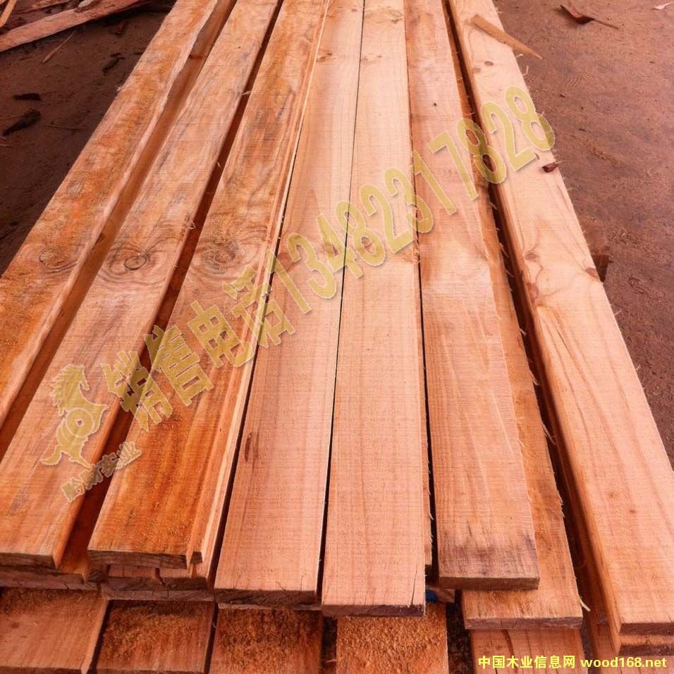 �бP�� ���b�� �@�����ϵ�Ԕ����B