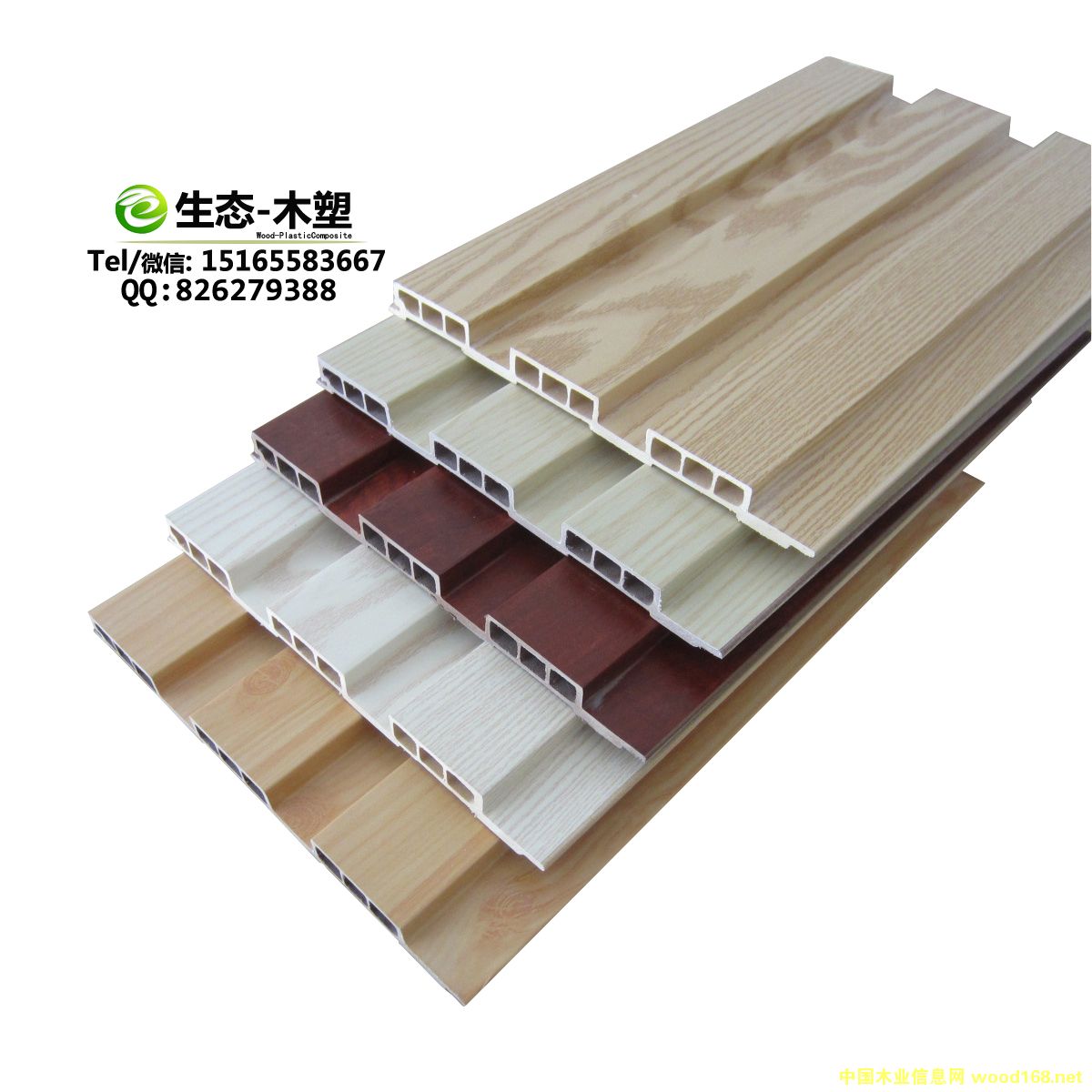 ���B(t��i)ľ204�����L(zh��ng)�ǰ��Ԕ��(x��)��B