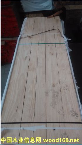 33�ٹ��shop3��Ԕ����B