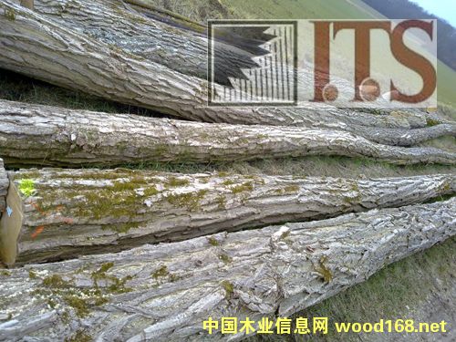 ��ľ���̻����󻱣���Ԕ����B