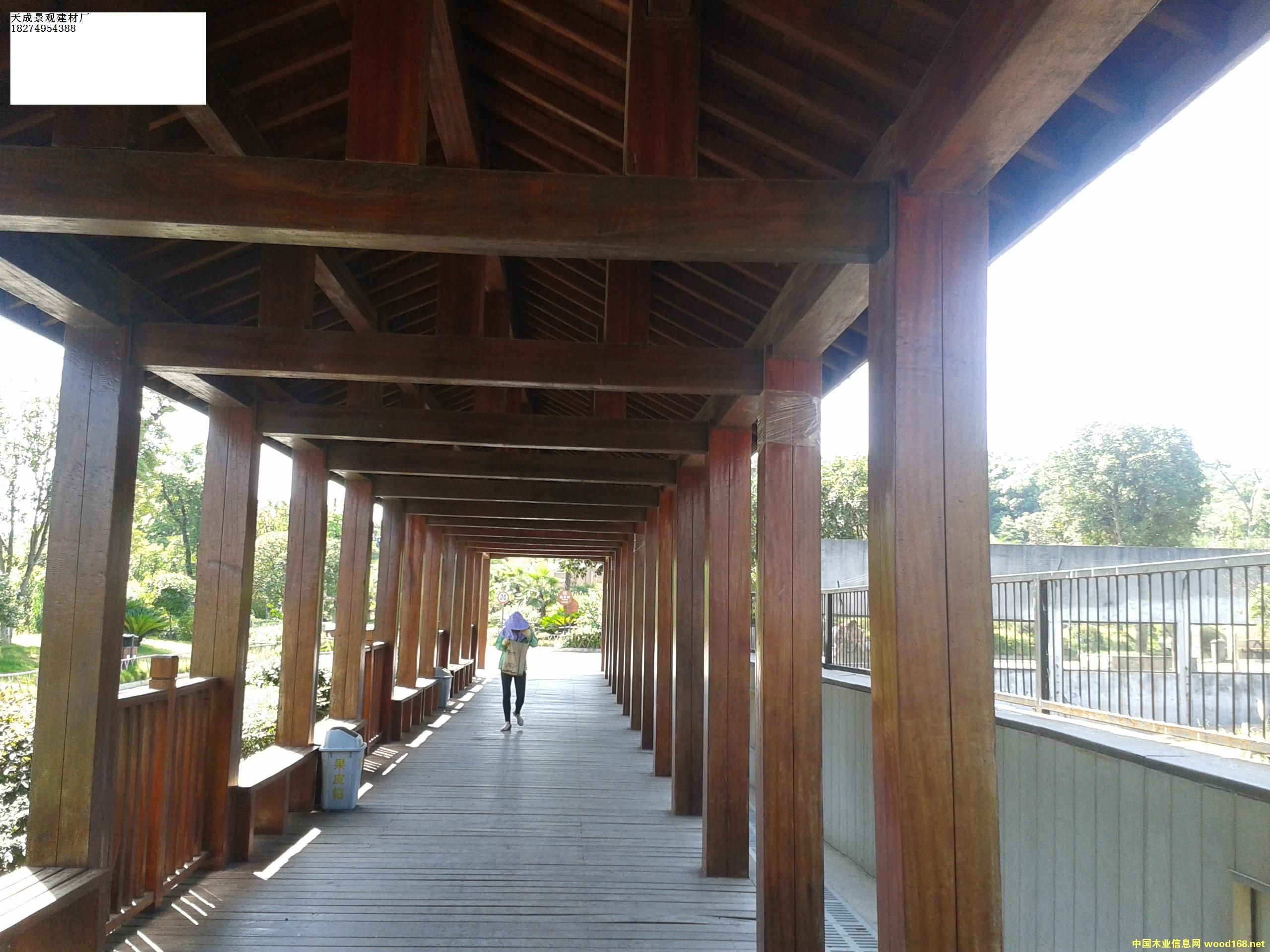 ���Ϸ���ľľ�ȼ܏S�����l