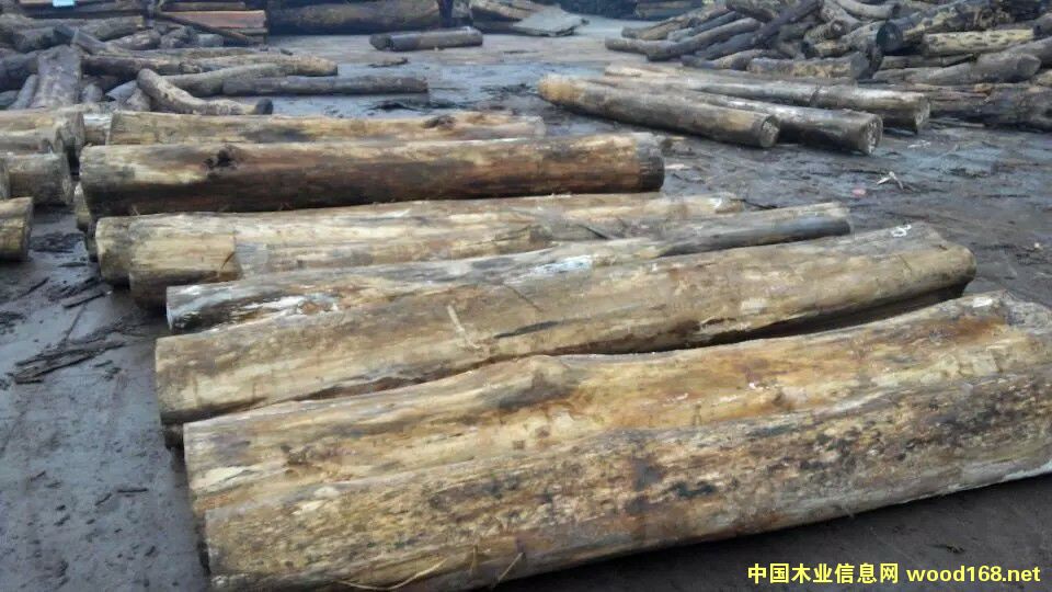 ��ߴ��~��˼ľ�ذ����ϵ�Ԕ����B