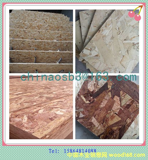 E1 ��6mm �W�ɰ�