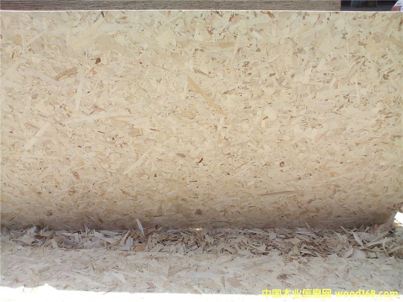 E1 �� ��ˮ �W�ɰ�