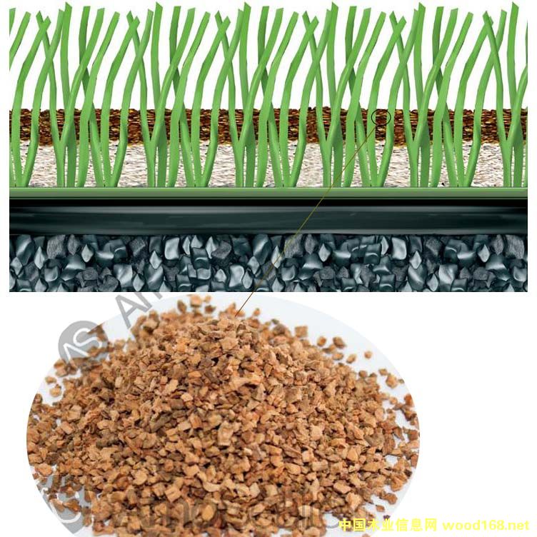 �����ƺ�����ܛľ�w����Ԕ����B