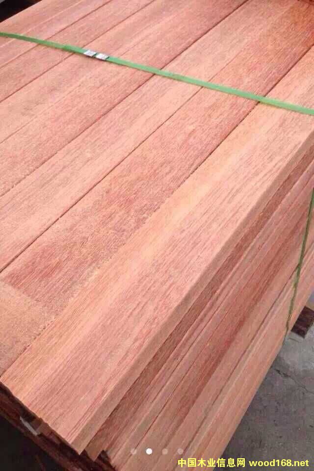 ����ľ��Ԕ����B