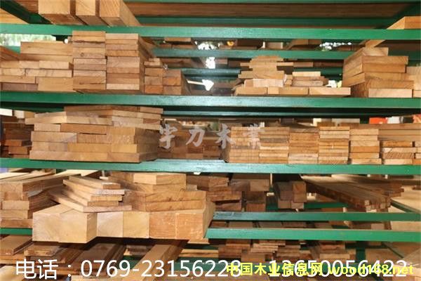 ������ľ����