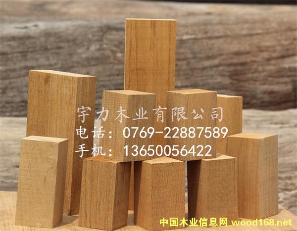 ������ľ��ˇƷҎ��