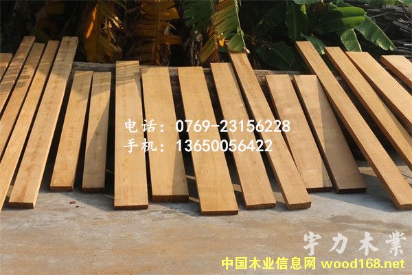 ������ľ��ĵ�Ԕ��(x��)��B