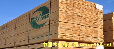 ݗ���ɰ�ĵ�Ԕ����B