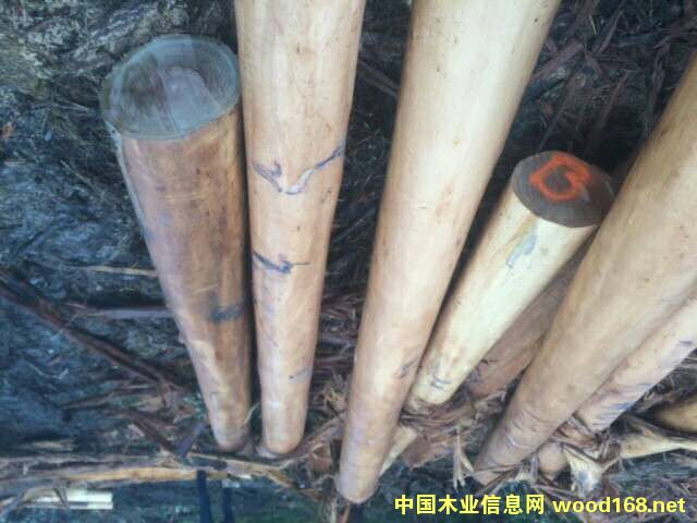 ��ľ��Ԕ����B