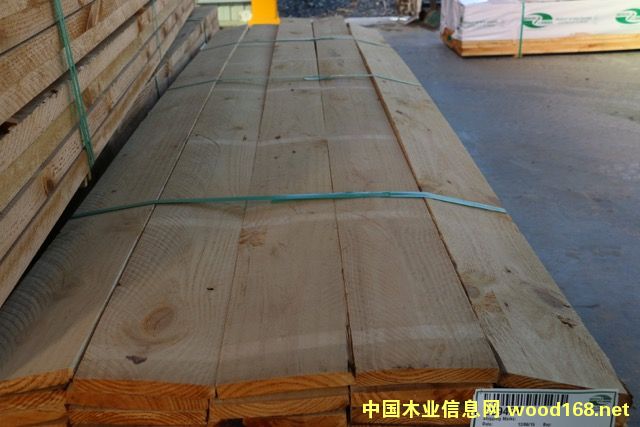 ݗ���ɰ�ĵ�Ԕ����B