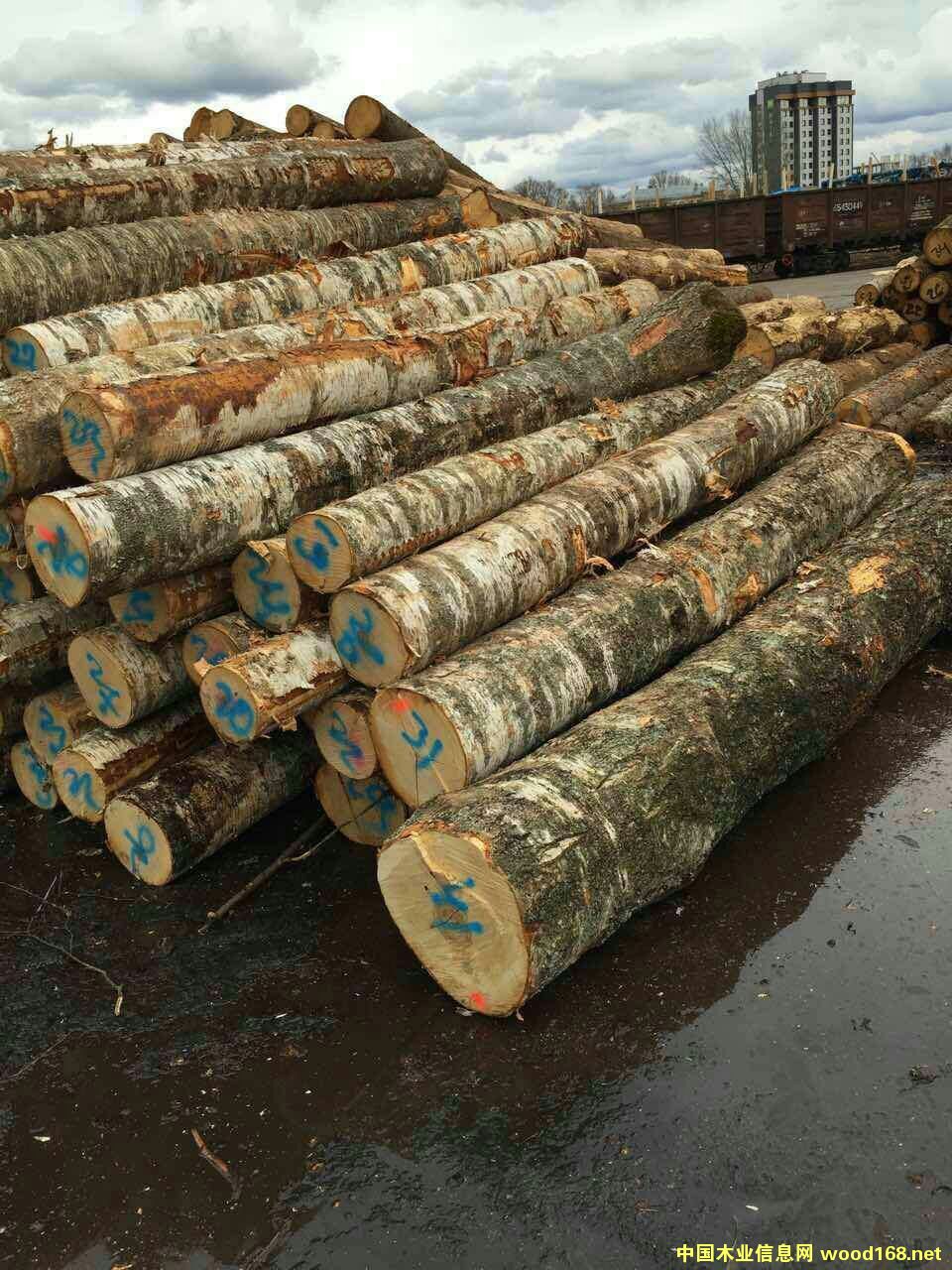 ��Ó�S����ľԭľ��Ԕ����B