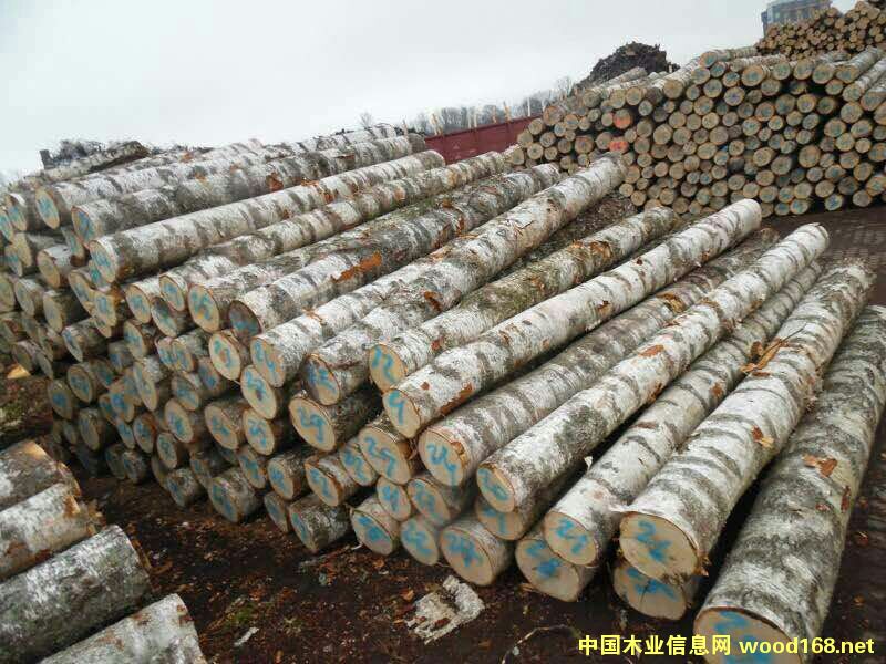 ��Ó�S����ľԭľ��Ԕ����B