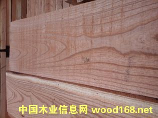 �ľ��ɰ�1��Ԕ����B