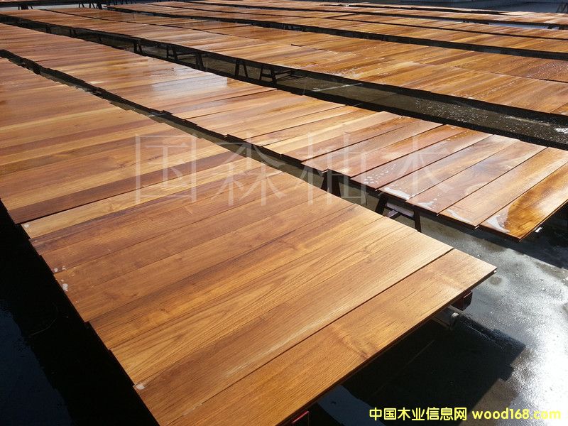 ������ľ�ذ��Ԕ����B