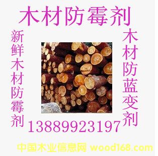 �c���鿴ľ�ķ�ù���Ŵ�DƬ