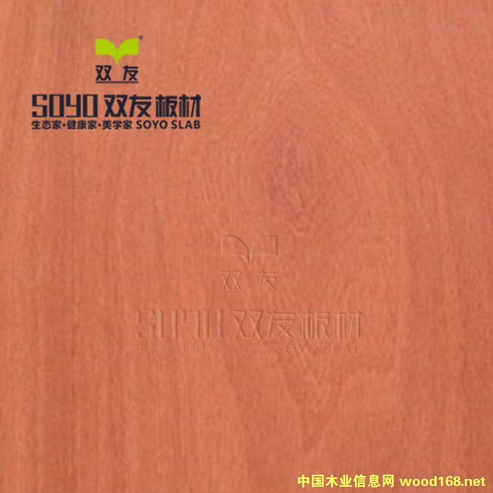 SOYO�����������Ԕ����B