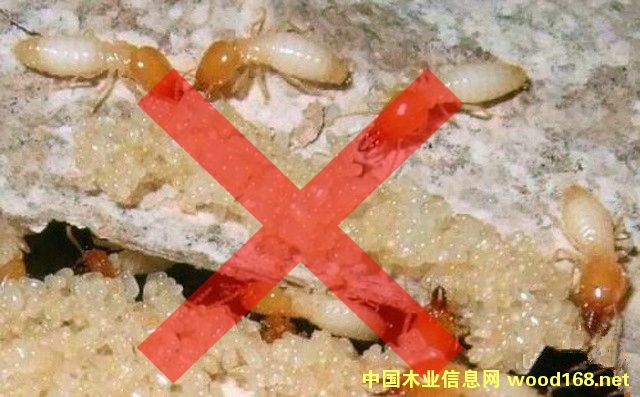 FKľ�Ě��x(ch��ng)����Ԕ��(x��)��B