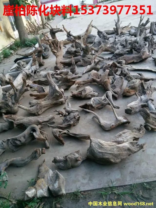 �c���鿴�°طŴ�DƬ