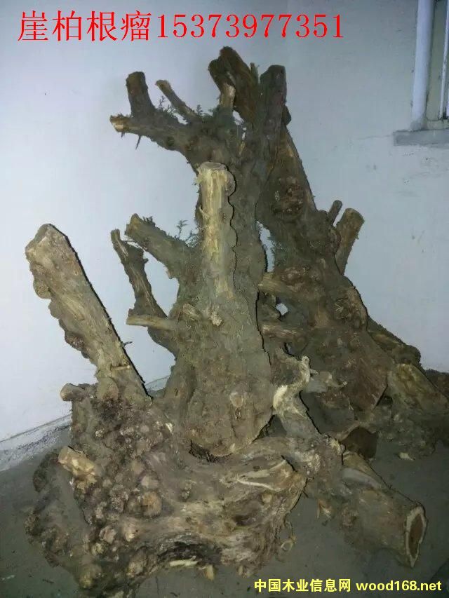 �c���鿴�°ؘ����Ŵ�DƬ