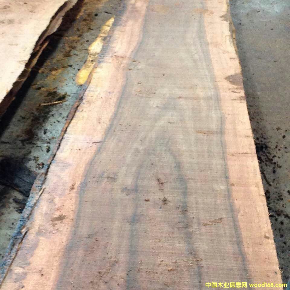 ����ľ��ɰ��Ԕ����B