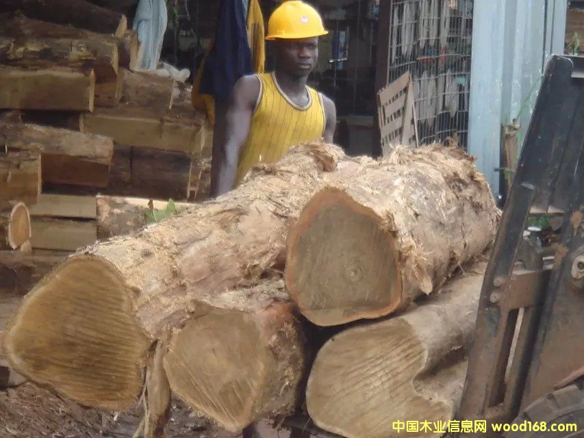 ��ľԭľ��Ԕ����B