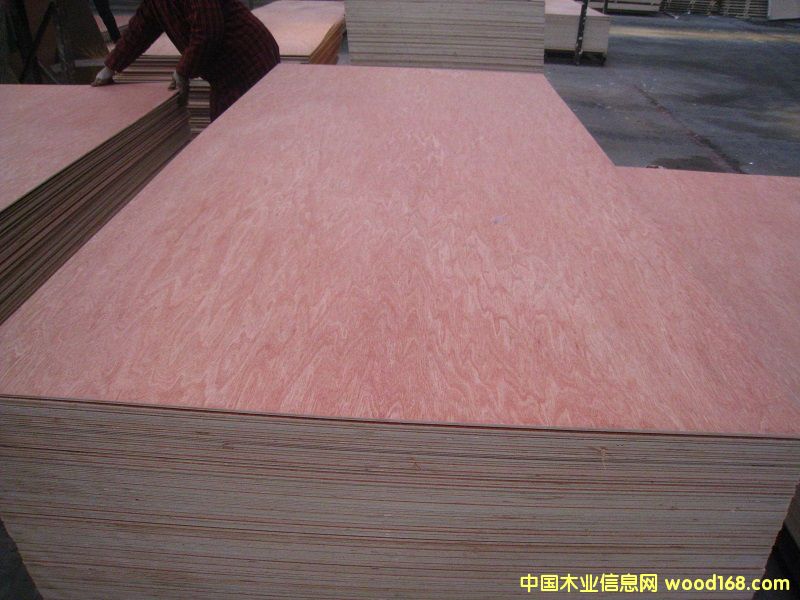 ���ǹ��z�ϰ� ��Ԕ����B