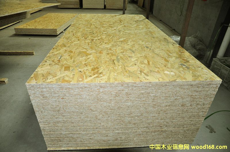 E1���W�ɰ� ���b �e��ľ�ݽ�����Ԕ����B