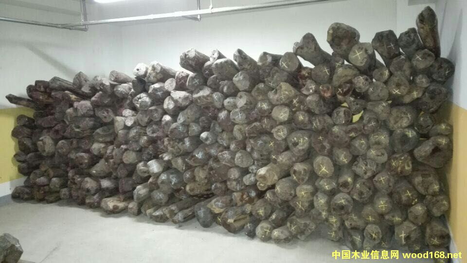 С�~��̴��Ԕ����B