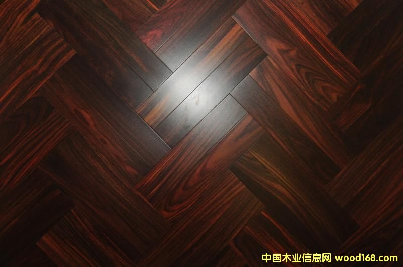 ��֦�ذ��Ԕ����B