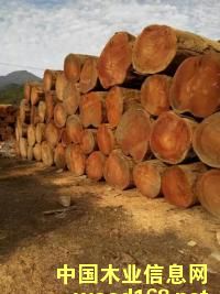 �S���ľ2��Ԕ��(x��)��B