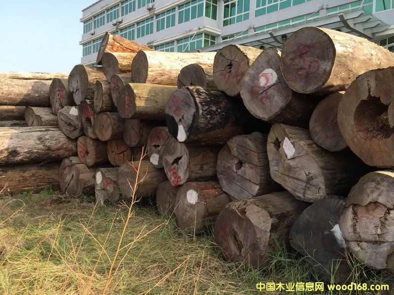 ���黨��ԭľ ��70 cm * 5 m))��Ԕ����B