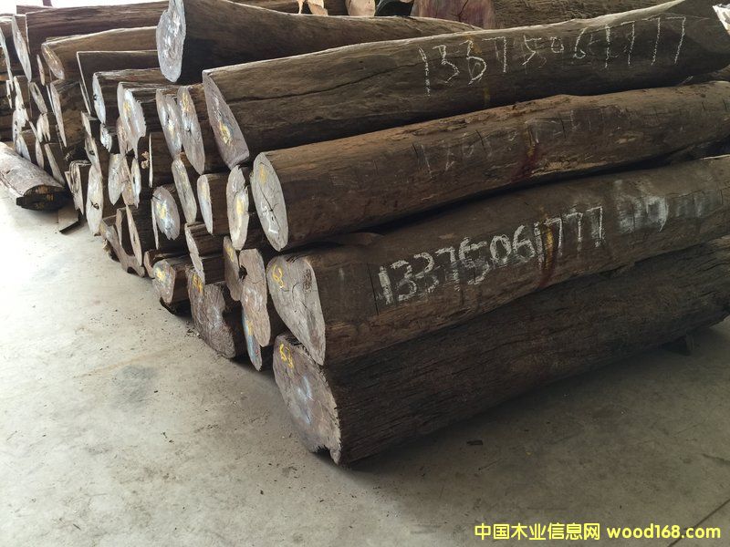 Խ�ϼt��֦�Aľ��Ԕ����B