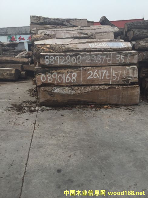 ���ѵ�Ԕ��(x��)��B