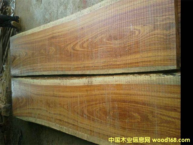 ��֬����ԭľ��Ԕ��(x��)��B