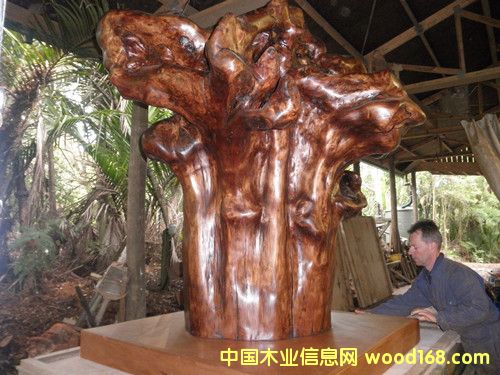 �����m5�f��ꎳ�ľ ���^չʾ��Ԕ����B