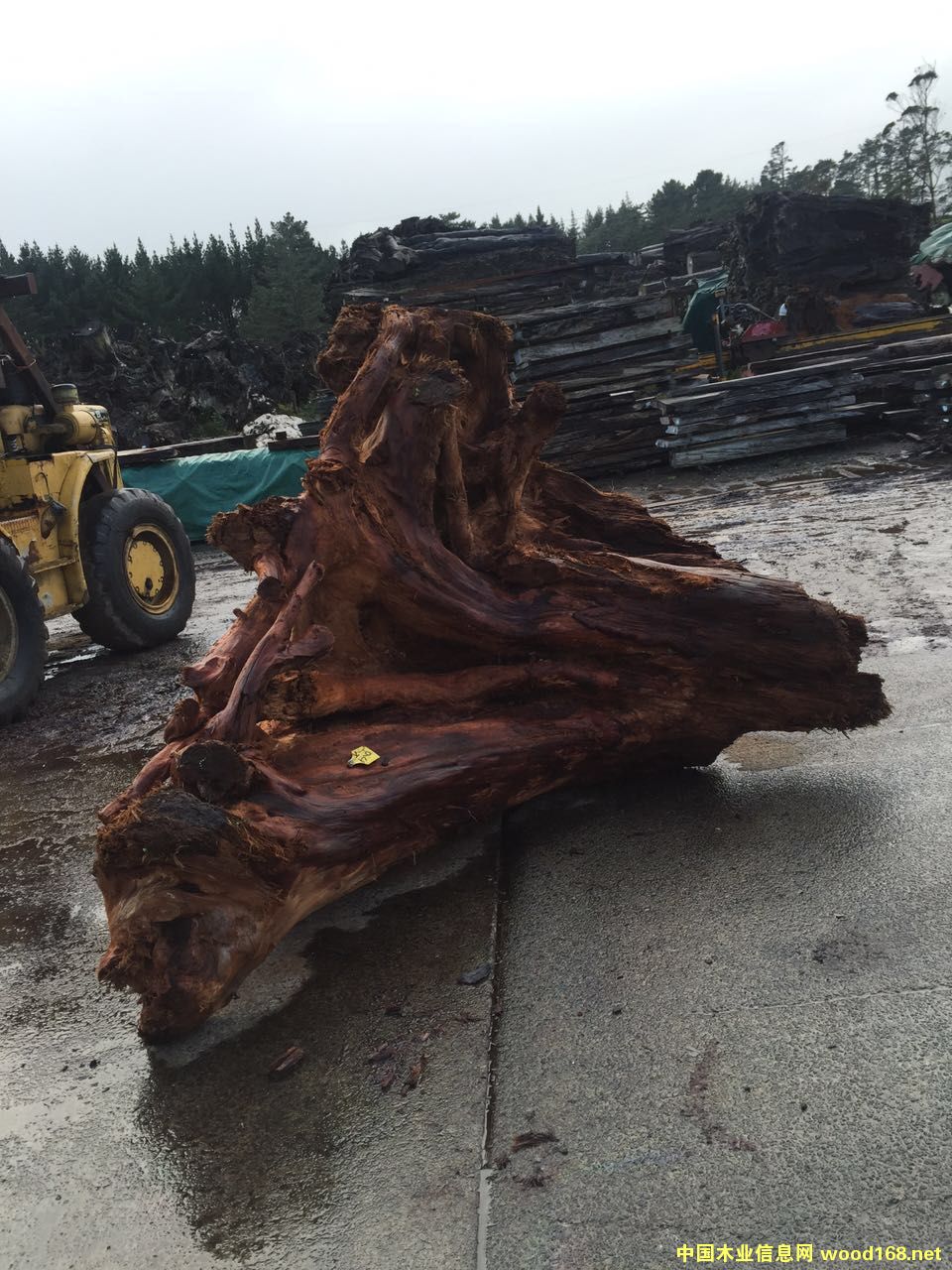 �����m5�f��ꎳ�ľ ���^��Ԕ����B