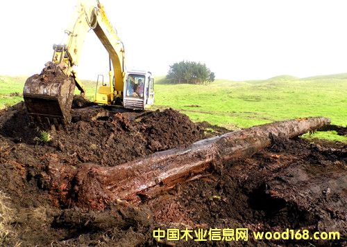 �����m5�f��ꎳ�ľ �ھ�F����Ԕ����B