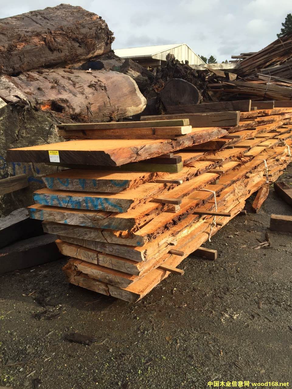 �����m���f��ꎳ�ľԭľ����Ԕ����B