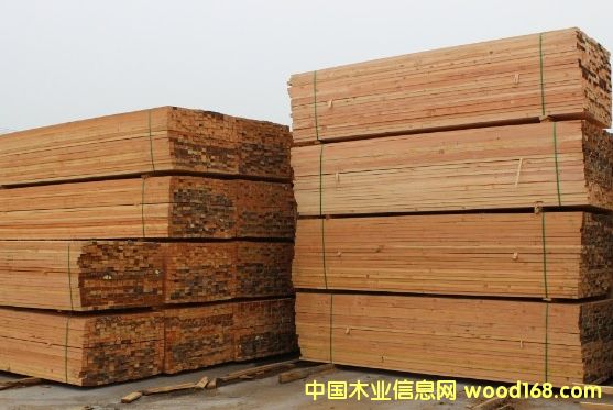 �����ɵ�Ԕ����B